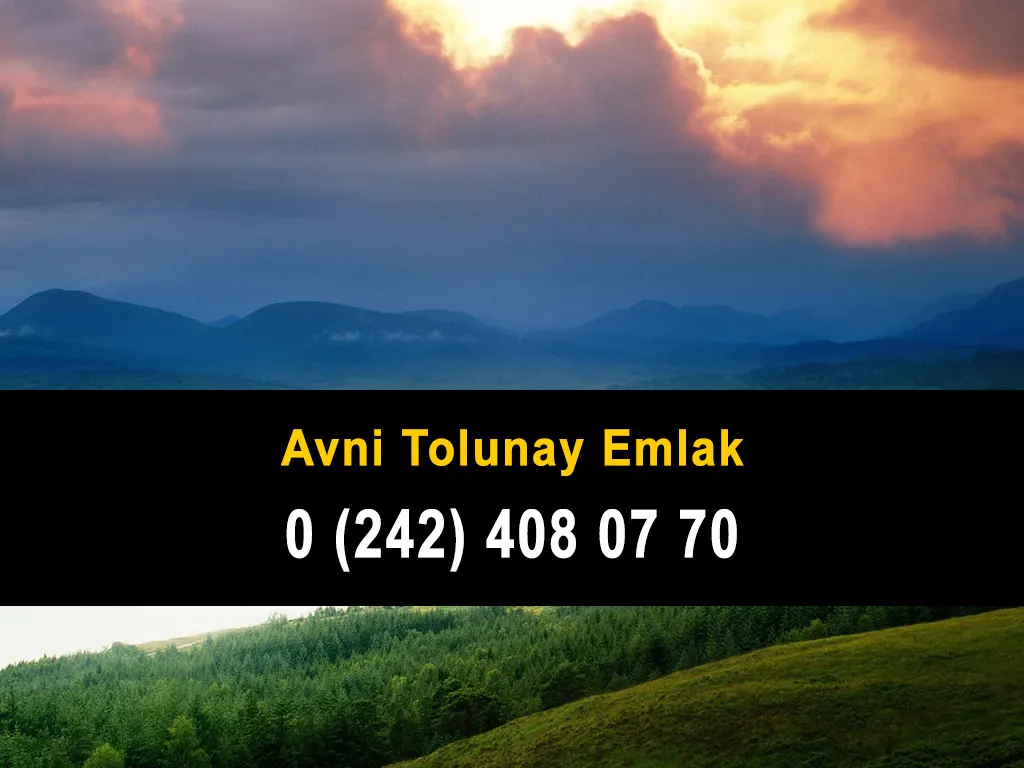 Avni Tolunay Emlak